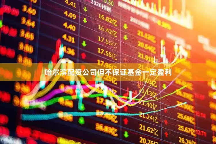 哈尔滨配资公司但不保证基金一定盈利
