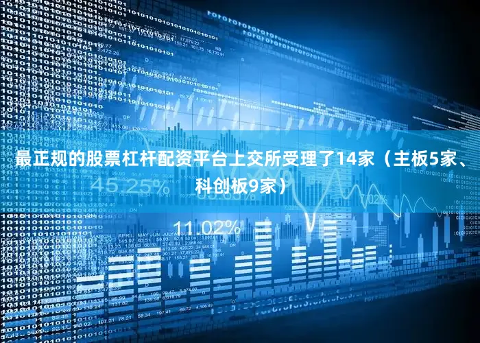 最正规的股票杠杆配资平台上交所受理了14家（主板5家、科创板9家）
