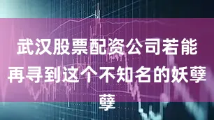 武汉股票配资公司若能再寻到这个不知名的妖孽