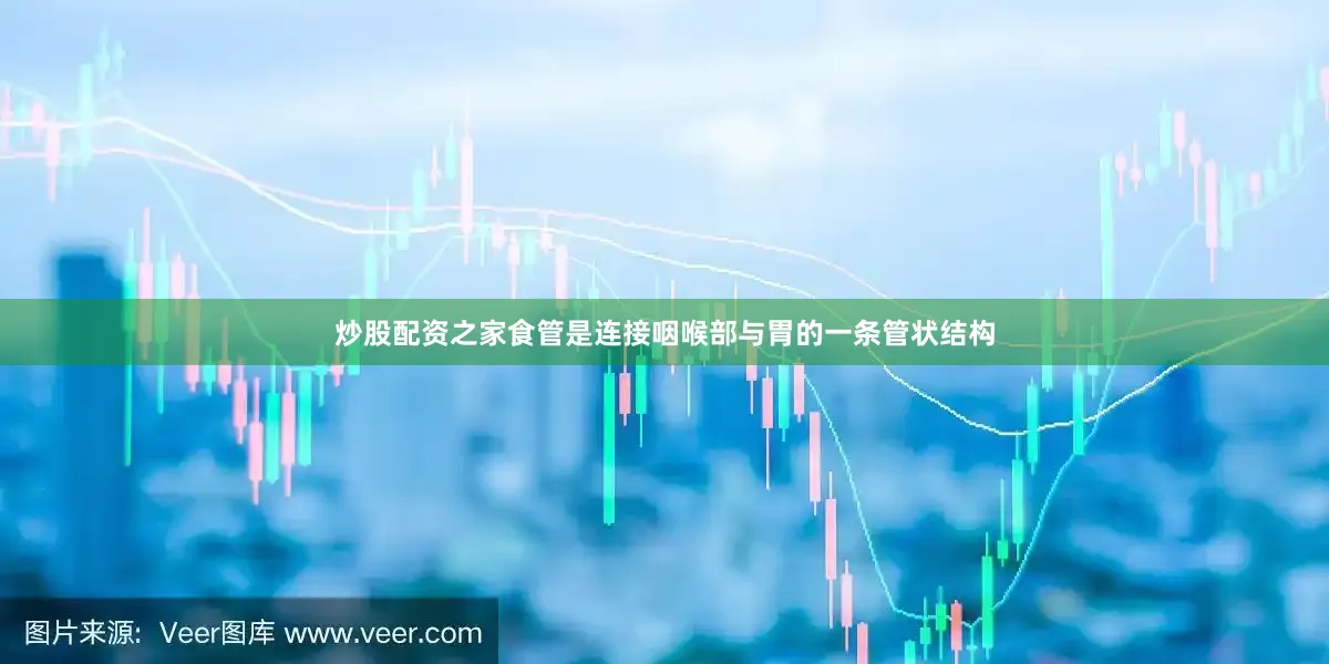 炒股配资之家食管是连接咽喉部与胃的一条管状结构